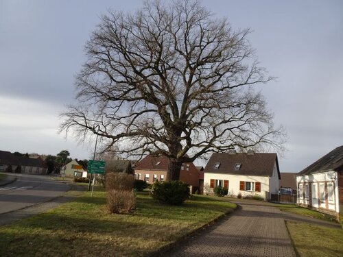 Fl&auml;chennutzungsplan Schwielochsee